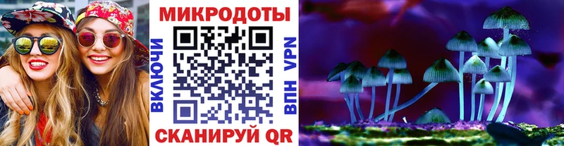 mega ссылка  Городовиковск  Галлюциногенные грибы Psilocybe 